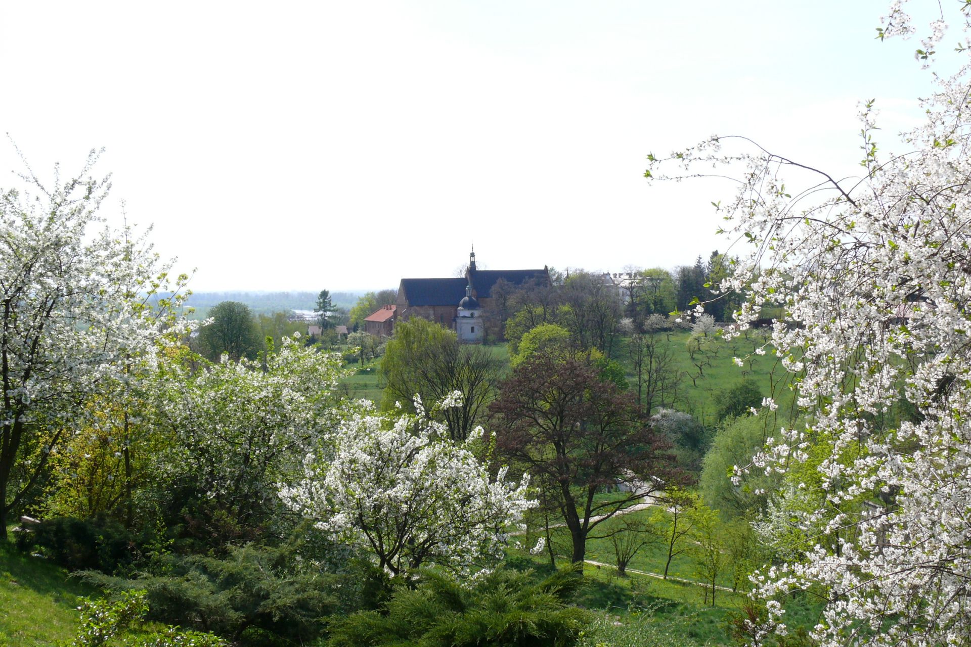 Pokój 2-os. z balkonem