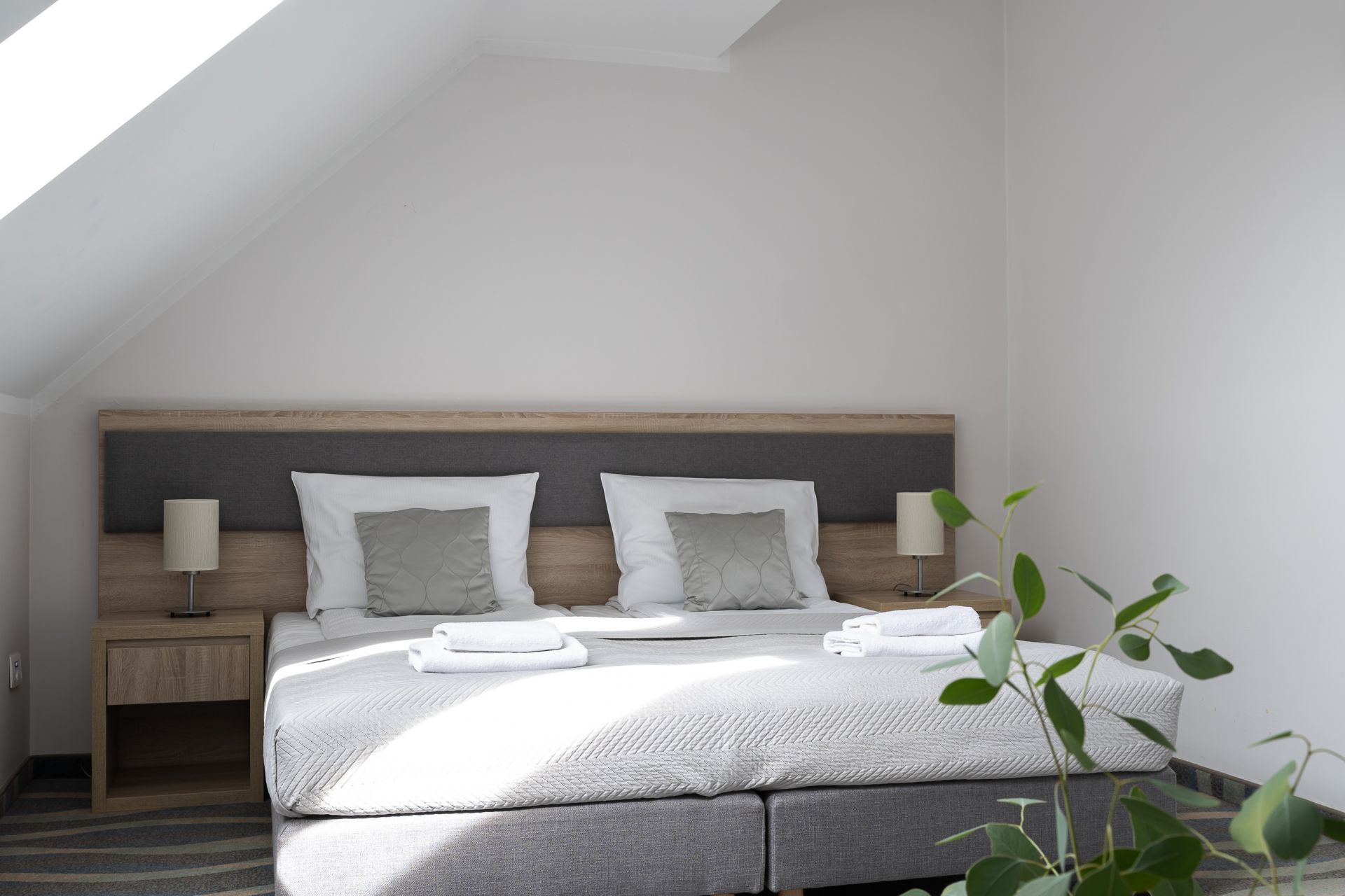 Apartament